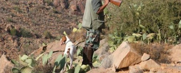 Tourisme : La chasse rapporte gros au Maroc