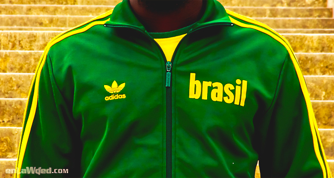 veste adidas brasil
