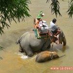 Alizés Travel Voyage Organisé Thailand 10