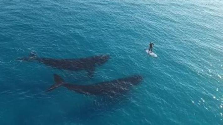 rencontre des eaux