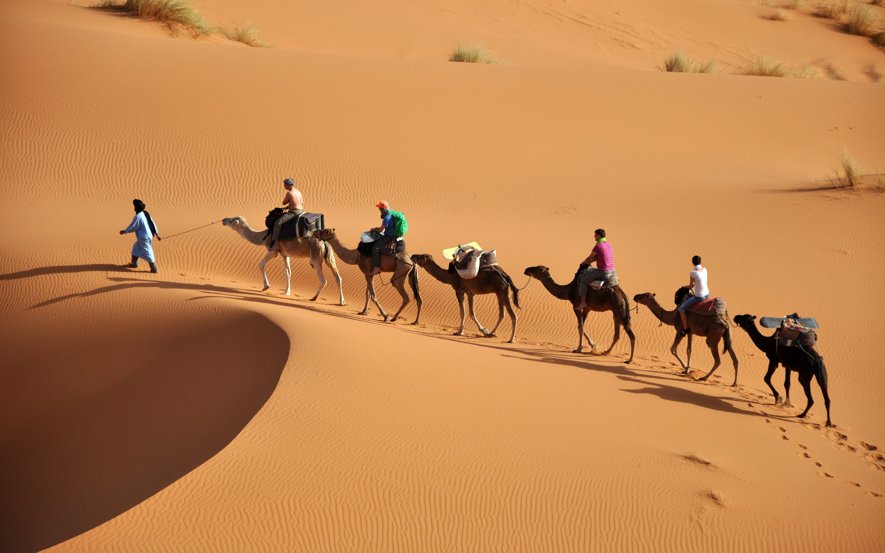 Aventure Au Maroc [1952]